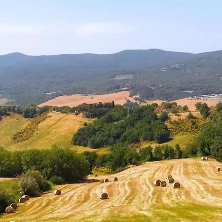 Casa Contadina In Borgo Medievale, Tuscany Monteguidi 외부 사진