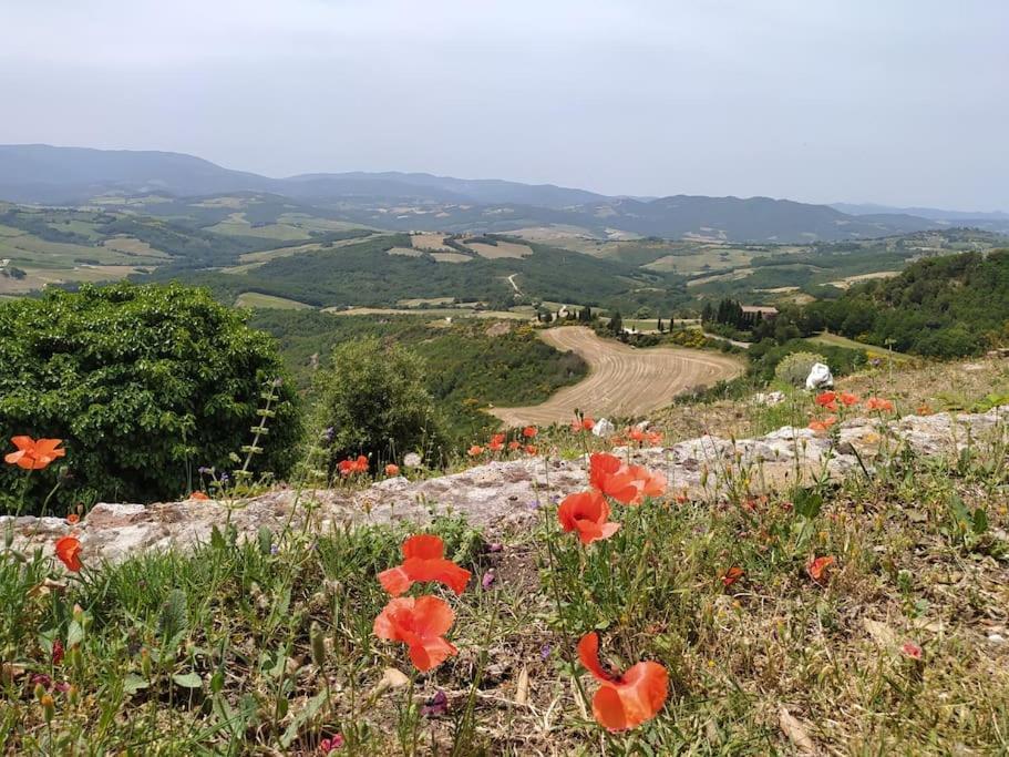 Casa Contadina In Borgo Medievale, Tuscany Monteguidi 외부 사진