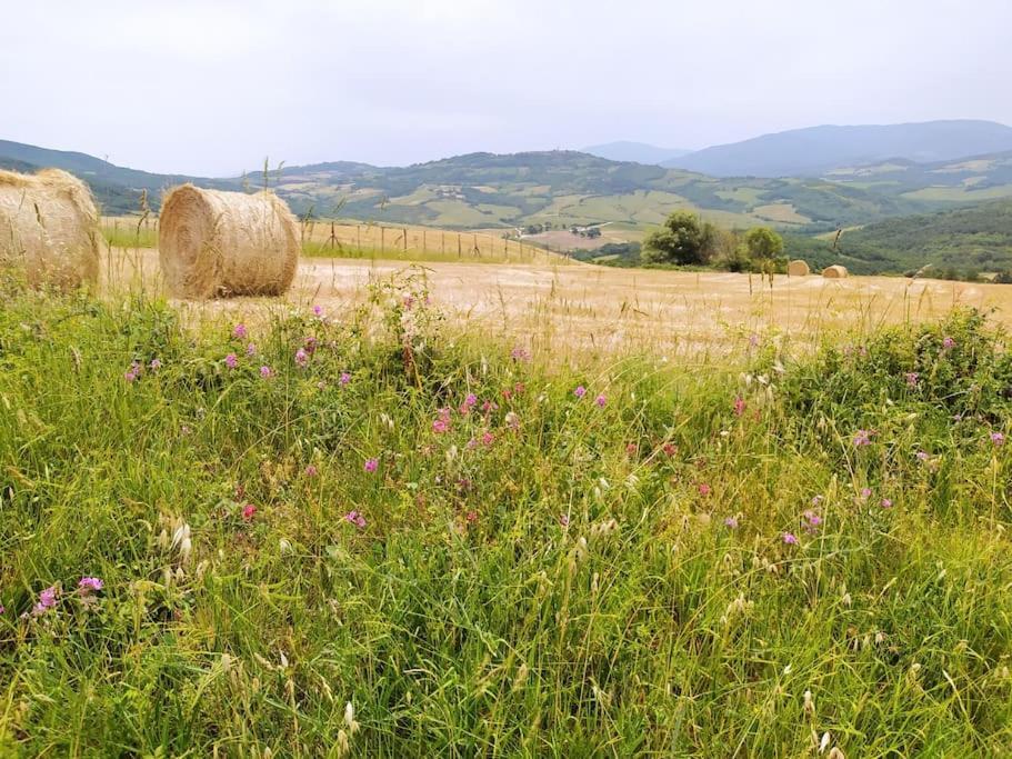 Casa Contadina In Borgo Medievale, Tuscany Monteguidi 외부 사진